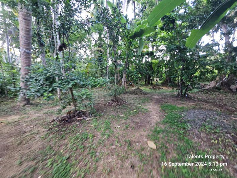 Matara Land with house for sale/rent