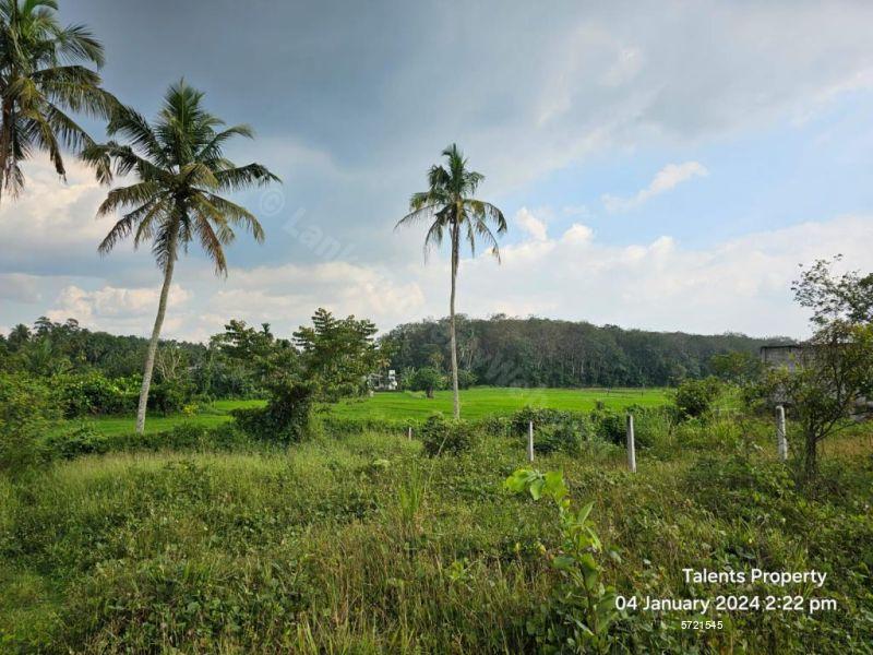 Athurugiriya Bare Land for sale/rent