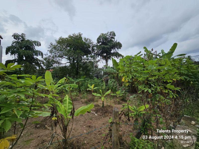 Malabe Bare Land for sale/rent