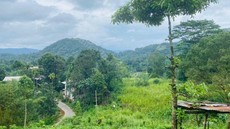 Kandy Bare Land for sale/rent