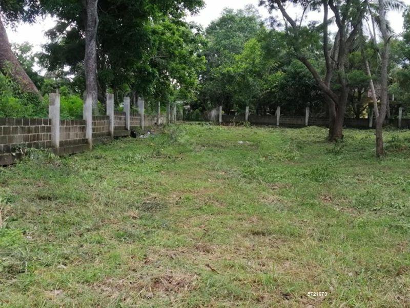 Anuradhapura Bare Land for sale/rent