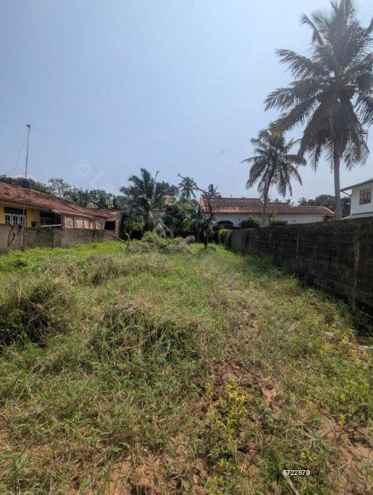 Negombo Bare Land for sale/rent