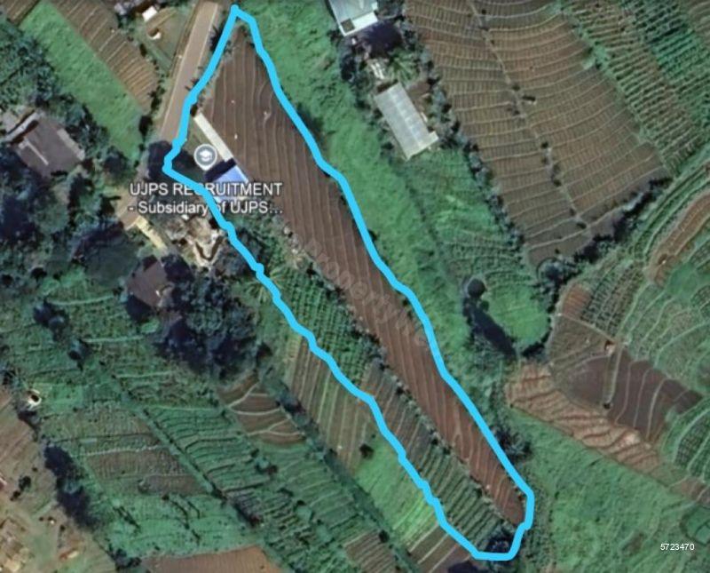 Welimada Cultivated Land for sale/rent