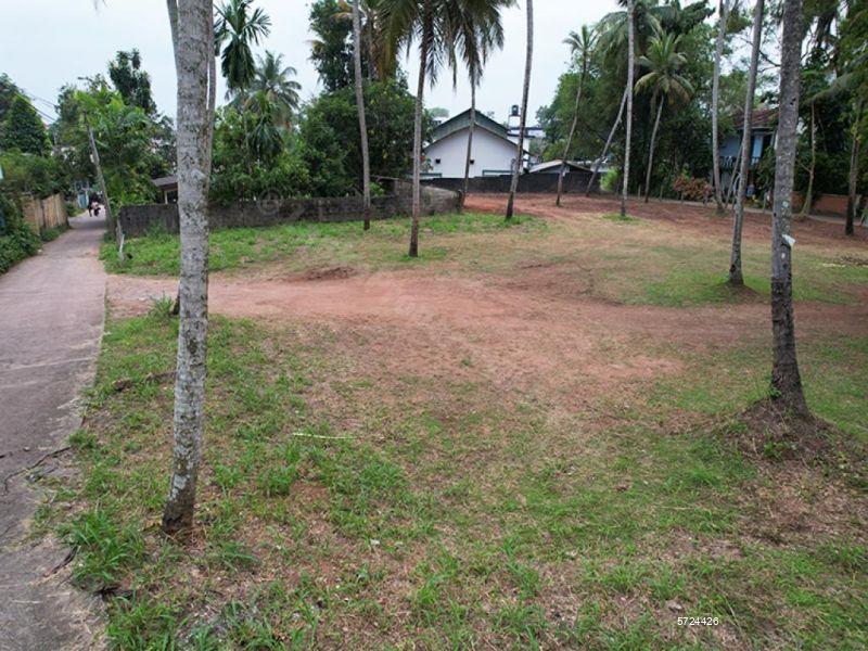 Veyangoda Bare Land for sale/rent