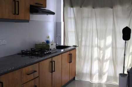 Kitchen - 2 Bedroom furnished pet friendly house for rent in Fairfield Garden Colombo 08 