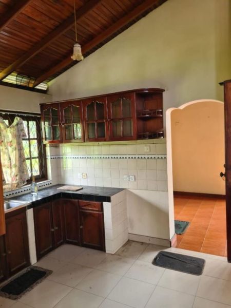 Kitchen - (SE1170) 6 Bedroom house for sale in Nugegoda for Rs. 59.50 million (negotiable)