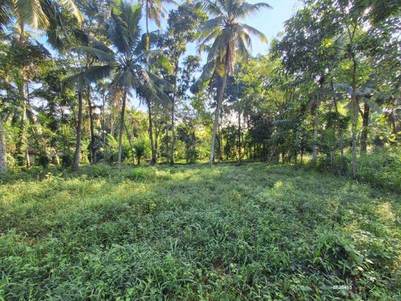 Mudungoda Bare Land for sale/rent