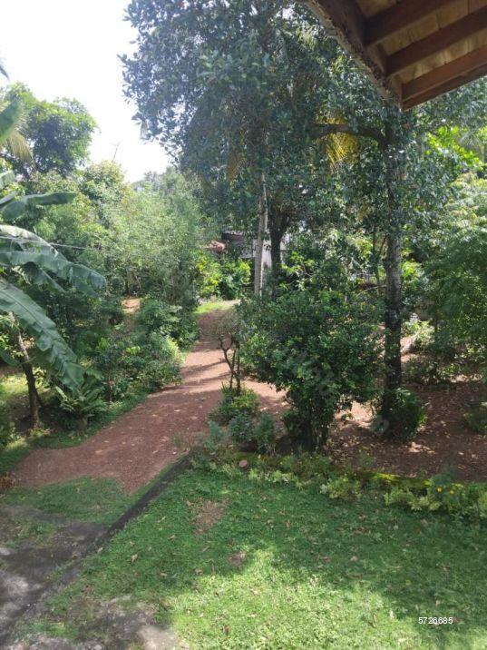 Bellanwila Land with house for sale/rent