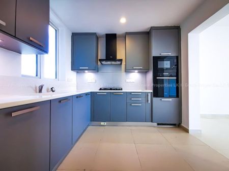 Kitchen - Brandnew like fully renovated 4 BR apartment for sale