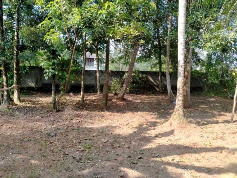 Kelaniya Bare Land for sale/rent