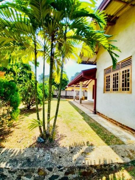 Exterior -  ⭕️ (K103) Single Storey House For Sale in Ja Ela