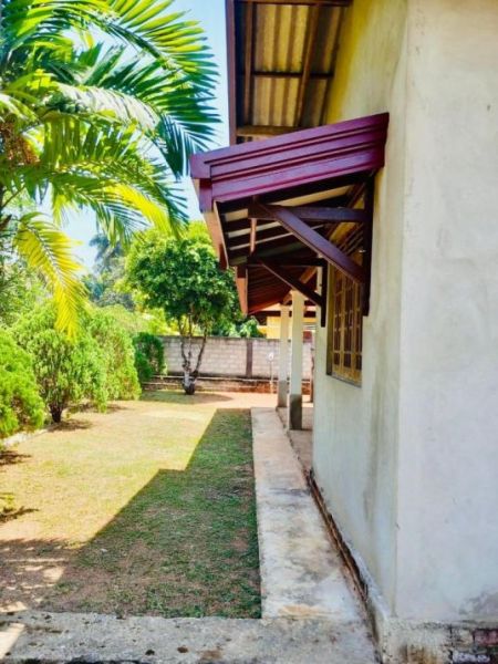 Exterior -  ⭕️ (K103) Single Storey House For Sale in Ja Ela