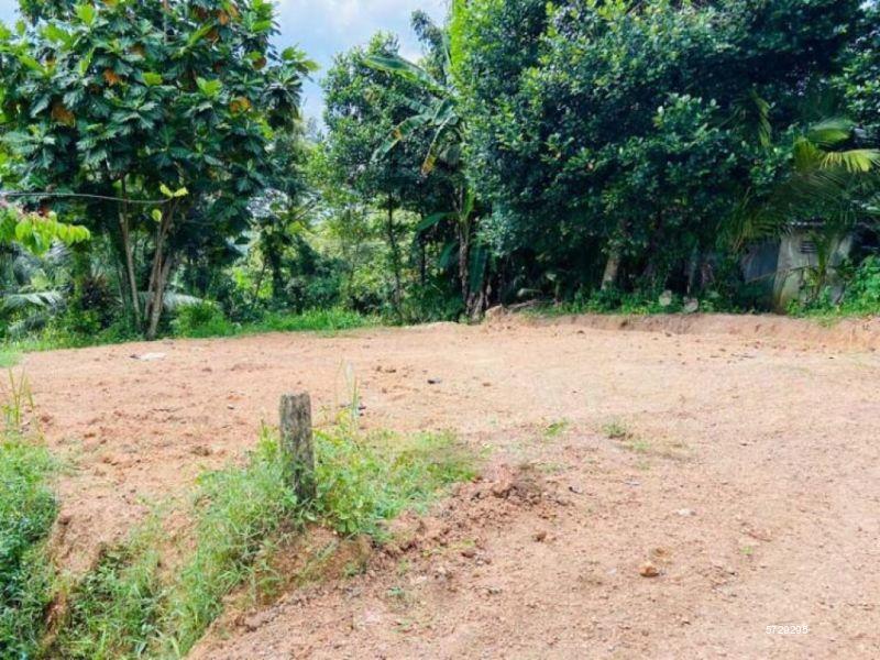 Gampaha Bare Land for sale/rent