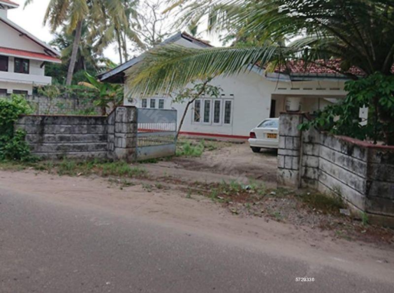 Negombo Bare Land for sale/rent