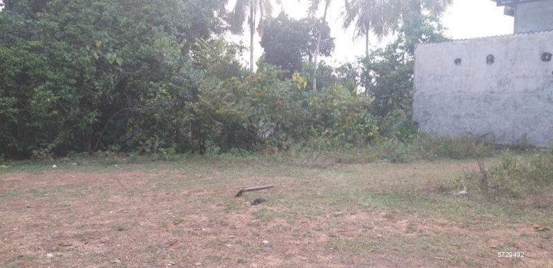 Kaduwela Bare Land for sale/rent