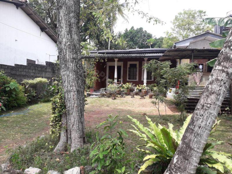 Nugegoda Land with house for sale/rent