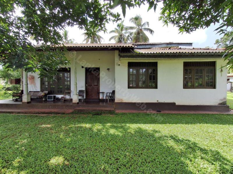 Colombo 1 House for sale/rent