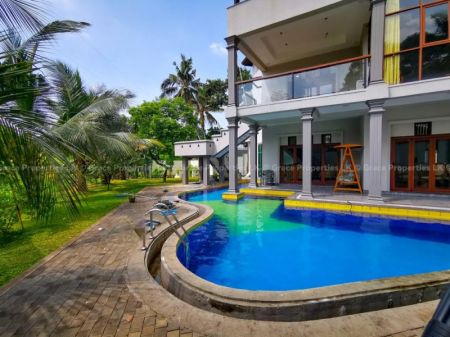 Pool - Solar Powered House For Rent in Battaramulla