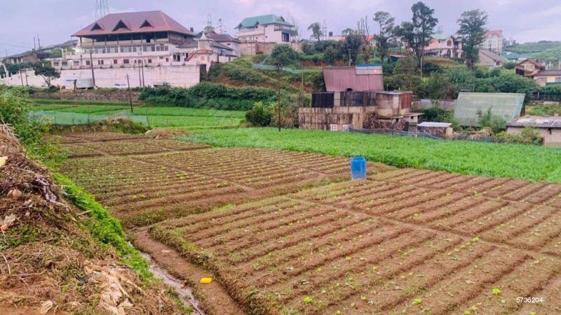 Nuwara Eliya Bare Land for sale/rent