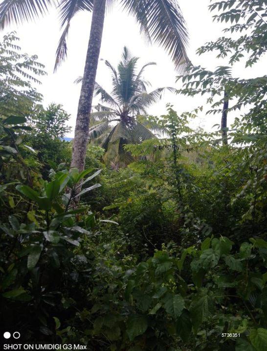 Midigama Bare Land for sale/rent