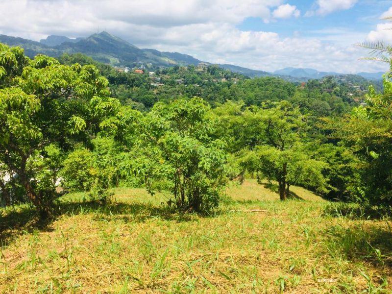 Kandy Bare Land for sale/rent