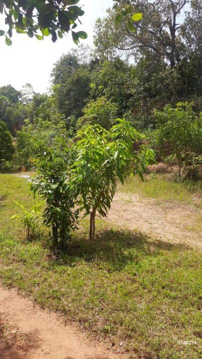 Hikkaduwa Bare Land for sale/rent