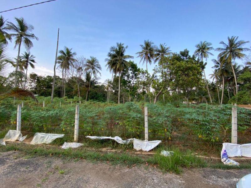 Pothuhera Bare Land for sale/rent