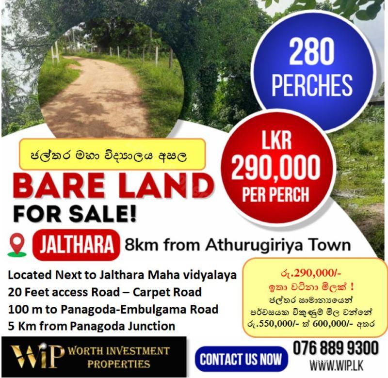 Jalthara Bare Land for sale/rent